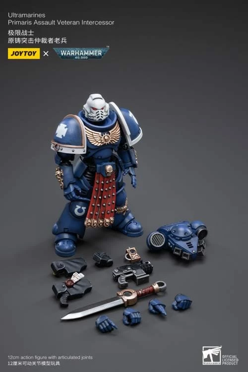 Warhammer 40K Ultramarines Primaris Assault Veteran Intercessor 1/18 Scale Figure 10 Warhammer 40K Ultramarines Primaris Assault Veteran Intercessor 1/18 Scale Figure - Image 8