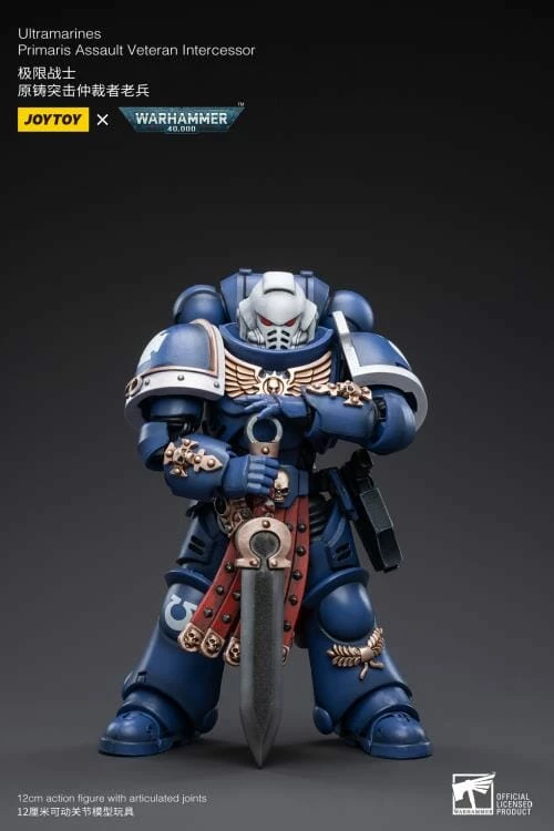 Warhammer 40K Ultramarines Primaris Assault Veteran Intercessor 1/18 Scale Figure 5 Warhammer 40K Ultramarines Primaris Assault Veteran Intercessor 1/18 Scale Figure - Image 3